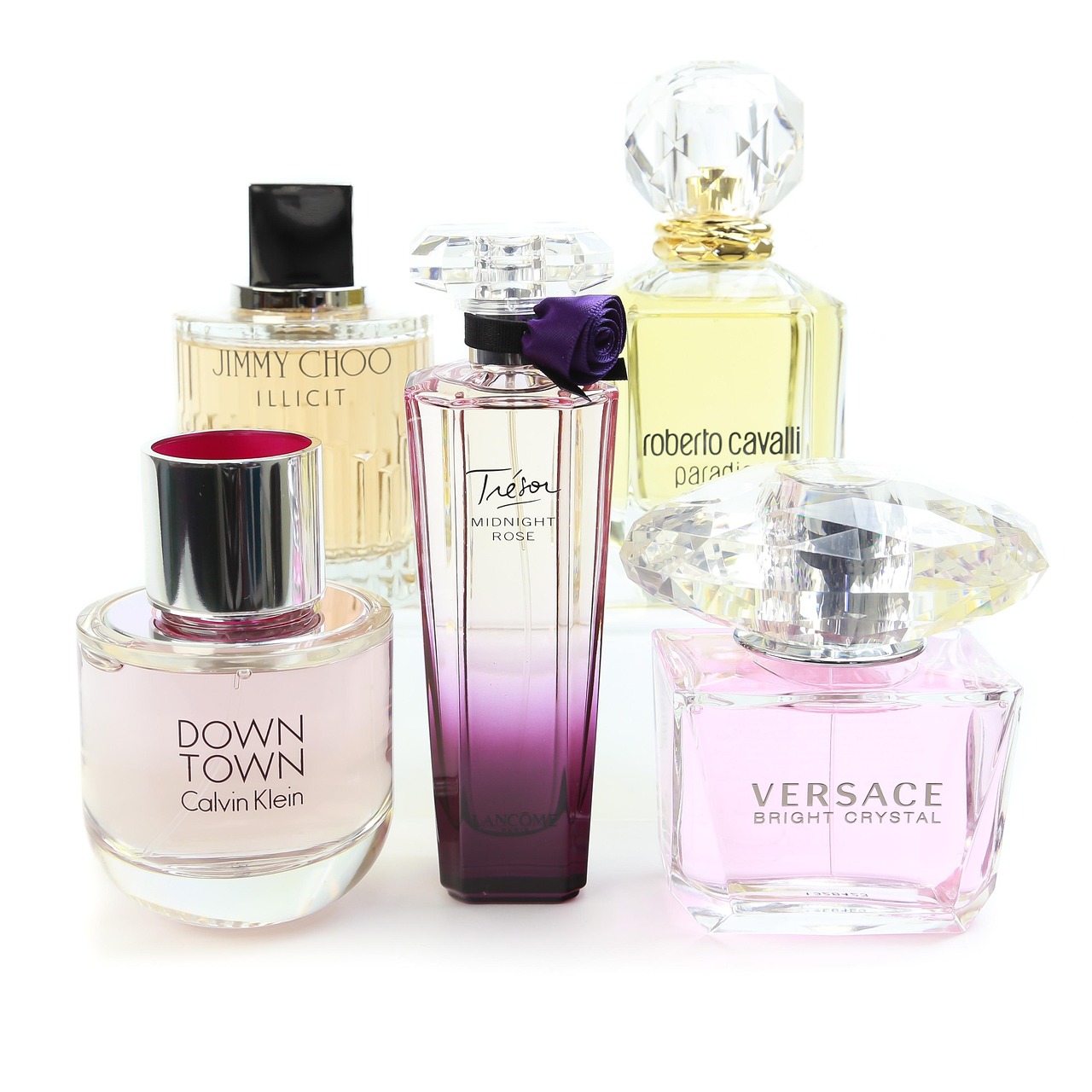 distribuidor perfumeria